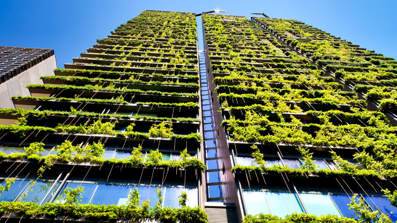 Sustainable Architecture Companies Leading Green Design Innovations ...